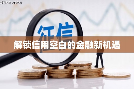 南宫解锁信用空白的金融新机遇