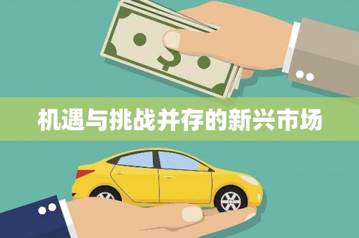 南宫机遇与挑战并存的新兴市场