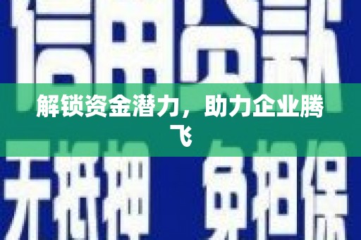 南宫解锁资金潜力，助力企业腾飞