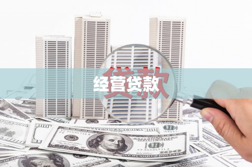 南宫经营贷款