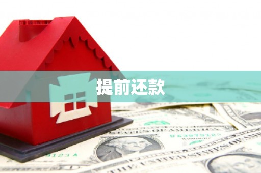 南宫提前还款