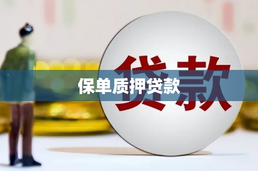 南宫保单质押贷款