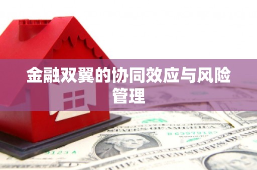 南宫金融双翼的协同效应与风险管理