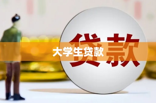 南宫大学生贷款