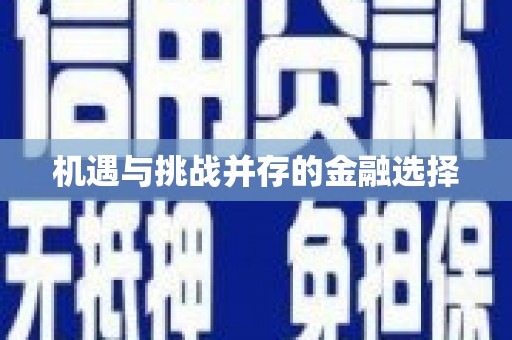 南宫机遇与挑战并存的金融选择