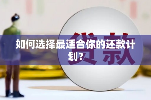 南宫如何选择最适合你的还款计划？
