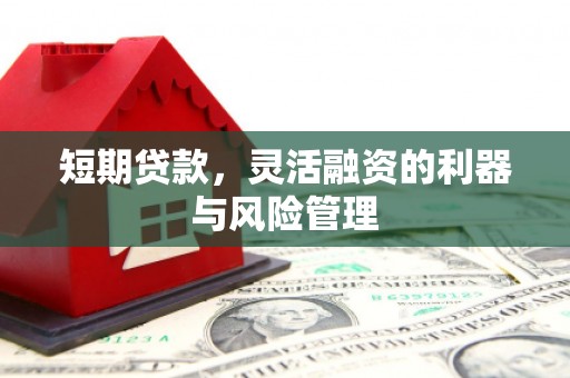 南宫短期贷款，灵活融资的利器与风险管理
