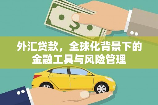南宫外汇贷款，全球化背景下的金融工具与风险管理