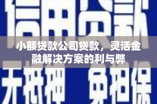 南宫小额贷款公司贷款，灵活金融解决方案的利与弊