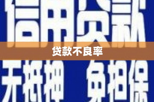 南宫贷款不良率